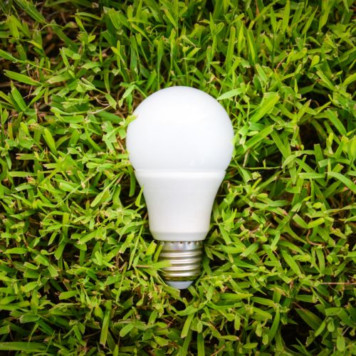 lightbulb on grass by greentechmedia.com